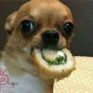 Meet your Posher, Clara